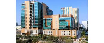 Salarpuria Sattva Knowledge Capital Tower 2