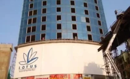 Lotus Link Square